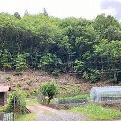 【成約済】山林物件092　大阪府 - 高槻市