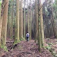 【成約済】山林物件092　大阪府 - 不動産