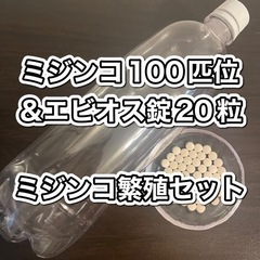 ① ミジンコ繁殖セット　餌用　エビオス錠20粒付き♪