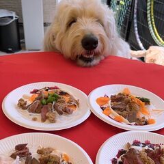 《7月14日㈭開催！》ハカノウエに鹿肉がやってきた！　三日市町駅...