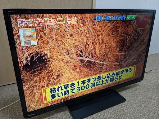 TOSHIBA レグザ 32型 液晶テレビ 32S10 東芝 REGZA 【送料込