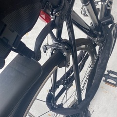 khodaabloom（コーダブルーム）FARNA Claris ( ファーナ クラリス )