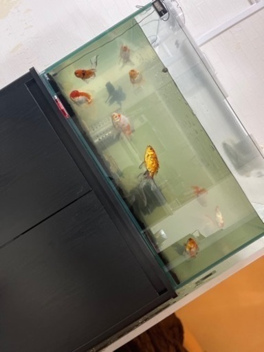 水槽、水槽台