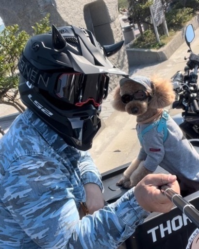 バイク犬 と バイク ツーリング 文太 三河田原のツーリングのメンバー募集 無料掲載の掲示板 ジモティー