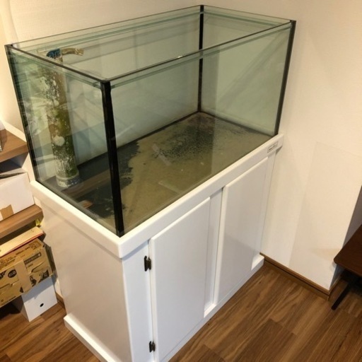 決まりました！！オーバーフロー水槽です。