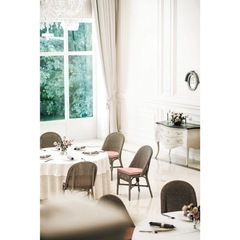 VINCENT SHEPPARD THOMAS FS CHAIR / ASPLUND (8脚ございます)