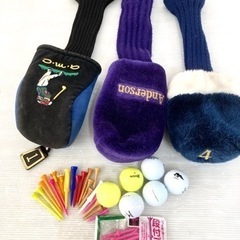 ◆TourStage ドライバー ＋Tsuruya  AXEL アイアン 等◆ゴルフクラブ 13本セット＋ 美品 Fitway キャディバッグ付き