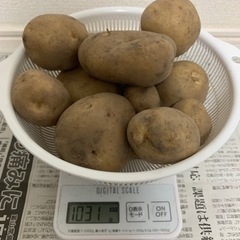 掘りたてじゃがいも1kg200円!!
