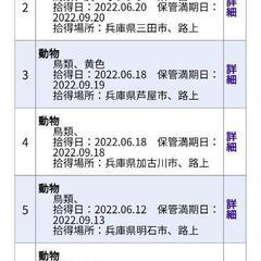 【兵庫県】【鳥】迷子の鳥が保護されています