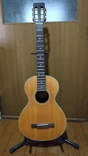ミニアコースティックギター  ANBOY REG-22