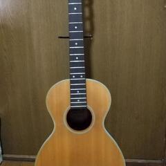 ミニアコースティックギター  ANBOY REG-22