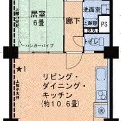 同棲にオススメ♡北堀江のおしゃれリノベ物件！礼金・鍵交換代・保証...