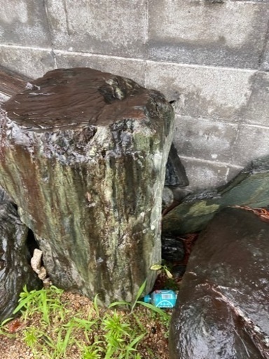 庭石・青石