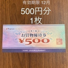 株主優待 ヤマダ電機  500円分  YAMADA ヤマダデンキ