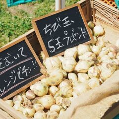 神戸ユネスコチャリティーマルシェ2022（出店・出演募集中） - 地域/お祭り