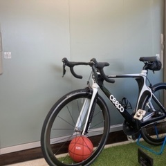 CEEPO stinger triathlon bike / road bike ロードバイク フルカーボン トライアスロン road bike stringer 
