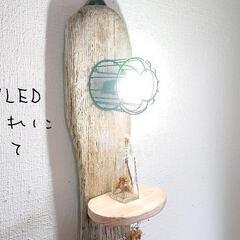 流木シェルフ・LEDランプ