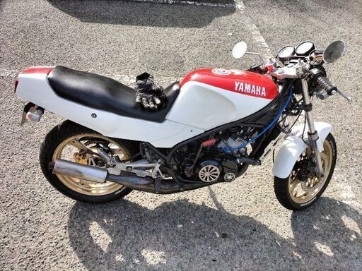 ヤマハ RZ250R 29L 3HM