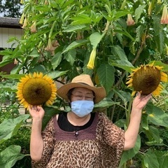 畑興味が有ってお手伝いして頂ける方募集中☘️ - 助け合い