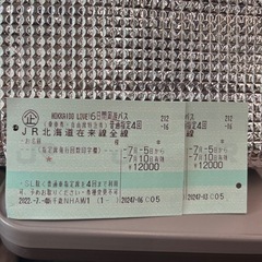 HOKKAIDO LOVE!6日間周遊パス　チケット　2枚