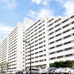 初期費用無料キャンペーン中😆🎉！・🍀品川区🍀・🌼品川シーサイド駅...