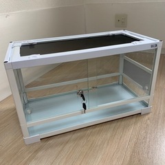 パンテオンの中古が安い!激安で譲ります・無料であげます|ジモティー