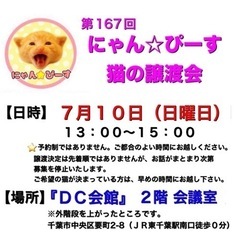 7月10日(日)🌸にゃん☆ぴーす猫の譲渡会🌸「DC会館」JR東千...