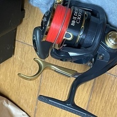 ラリッサ デスピナ