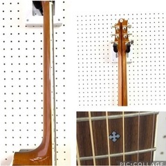 美品プロも使う名器 グレッグベネット ASDR オール単板