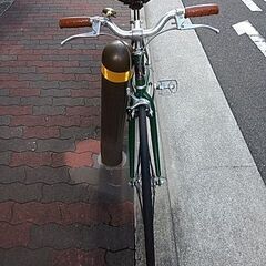 🚴natural cycle 650c