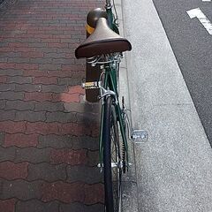 🚴natural cycle 650c