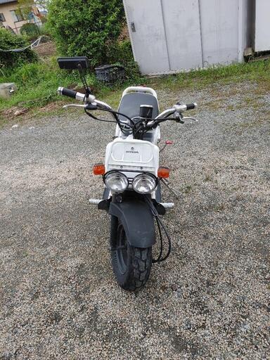 決まりました！ズーマー50