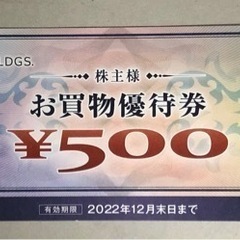 ヤマダ電機 株主優待券 500円分
