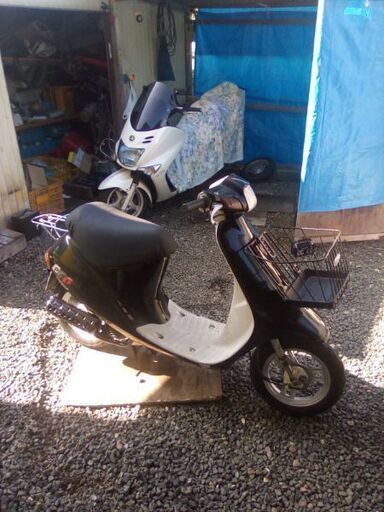 ホンダパルaf17