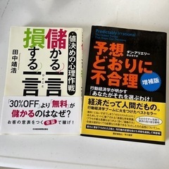 経済学本、経済心理学本　２冊セット