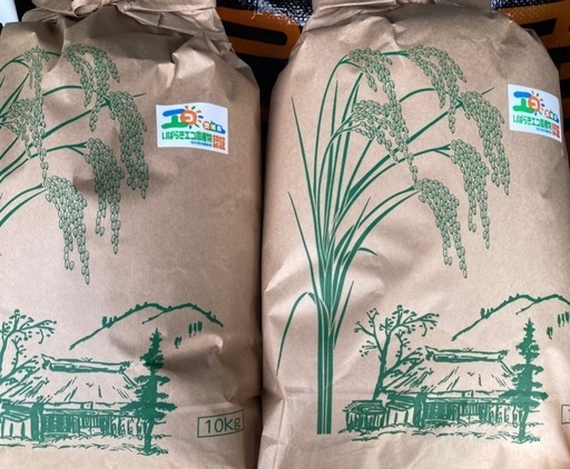 コシヒカリ 富山産コシヒカリの六穀ごはん600g×3個セット | 美味しいお米の