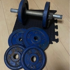 DANNOダンベル 15.5kg