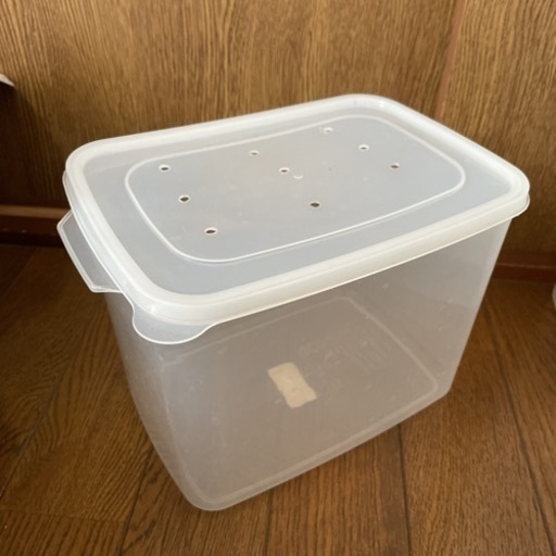 飼育引退品】乗用車でお届けします！飼育ケースパン屋さん型穴開け済み 