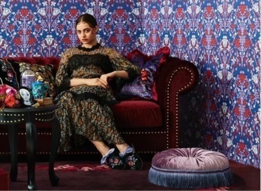 【新品タグ付】ANNA SUI×Francfranc コラボ クッション