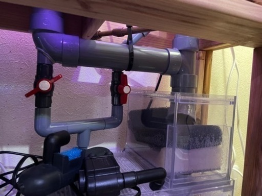 オーバーフロー水槽セット(値下げ)