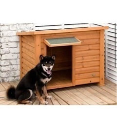 犬舎  中、大型犬 犬小屋 お譲り先決定 犬舎 中、大型犬 犬小屋 お譲り先決定