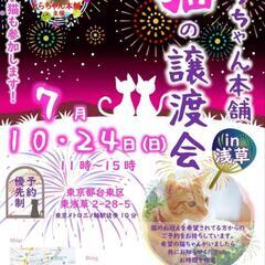 子猫祭りの譲渡会7月10日in浅草