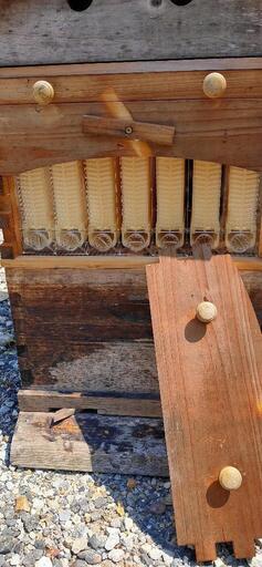 養蜂箱 蜂蜜 フローハイヴ