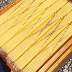 養蜂箱 蜂蜜 フローハイヴ