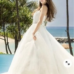 アロヒナ　吉川ひなの　ウエディングドレス　S サイズ　パニエ　下着　アクセサリーセット40万円相当