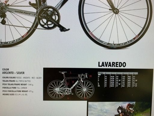 Wilier RAVAREDO ロードバイクフレーム＆ホイール　シルバー Wilier RAVAREDO ロードバイクフレーム＆ホイールシルバー