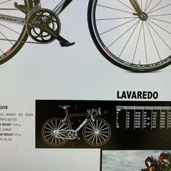 Wilier ウィリエール　Lavaredo フレーム