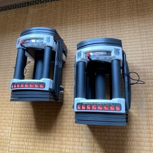 ありがとうございました 可変式ダンベル POWERBLOCK 22kg×2個
