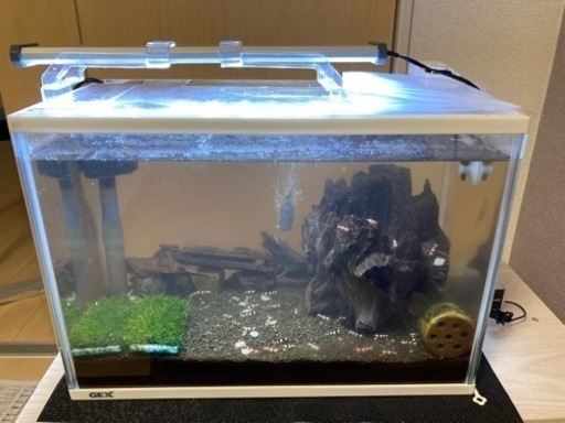 アクアリウム水槽　備品セット（シュリンプ生体付き）