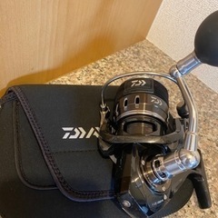 ジギング　キャタリナ 4000H